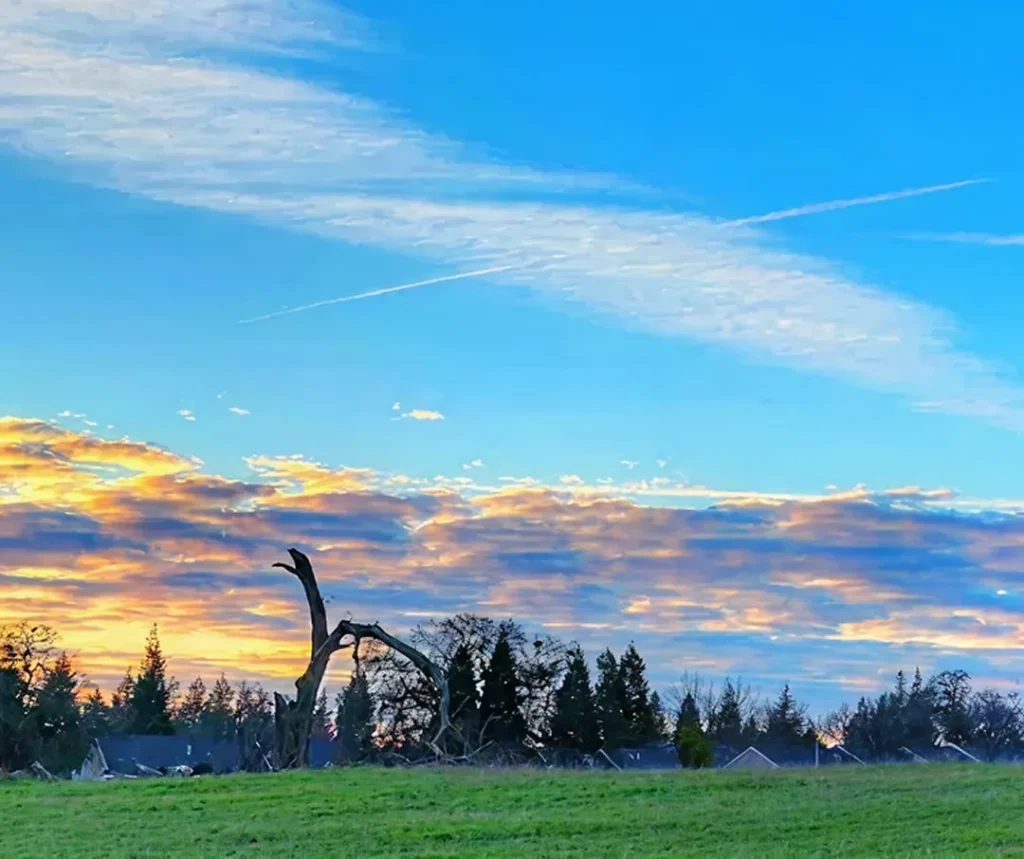 Sunset sky with orange and blue clouds above a grassy field and silhouetted trees.