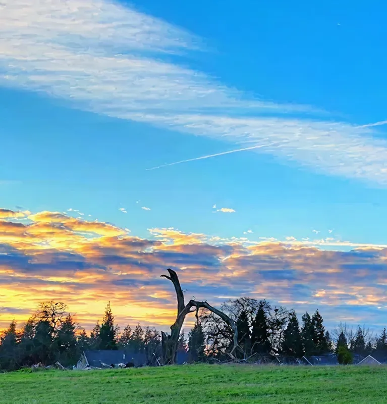 Sunset sky with vibrant clouds above green field and silhouette of bare tree and distant houses.