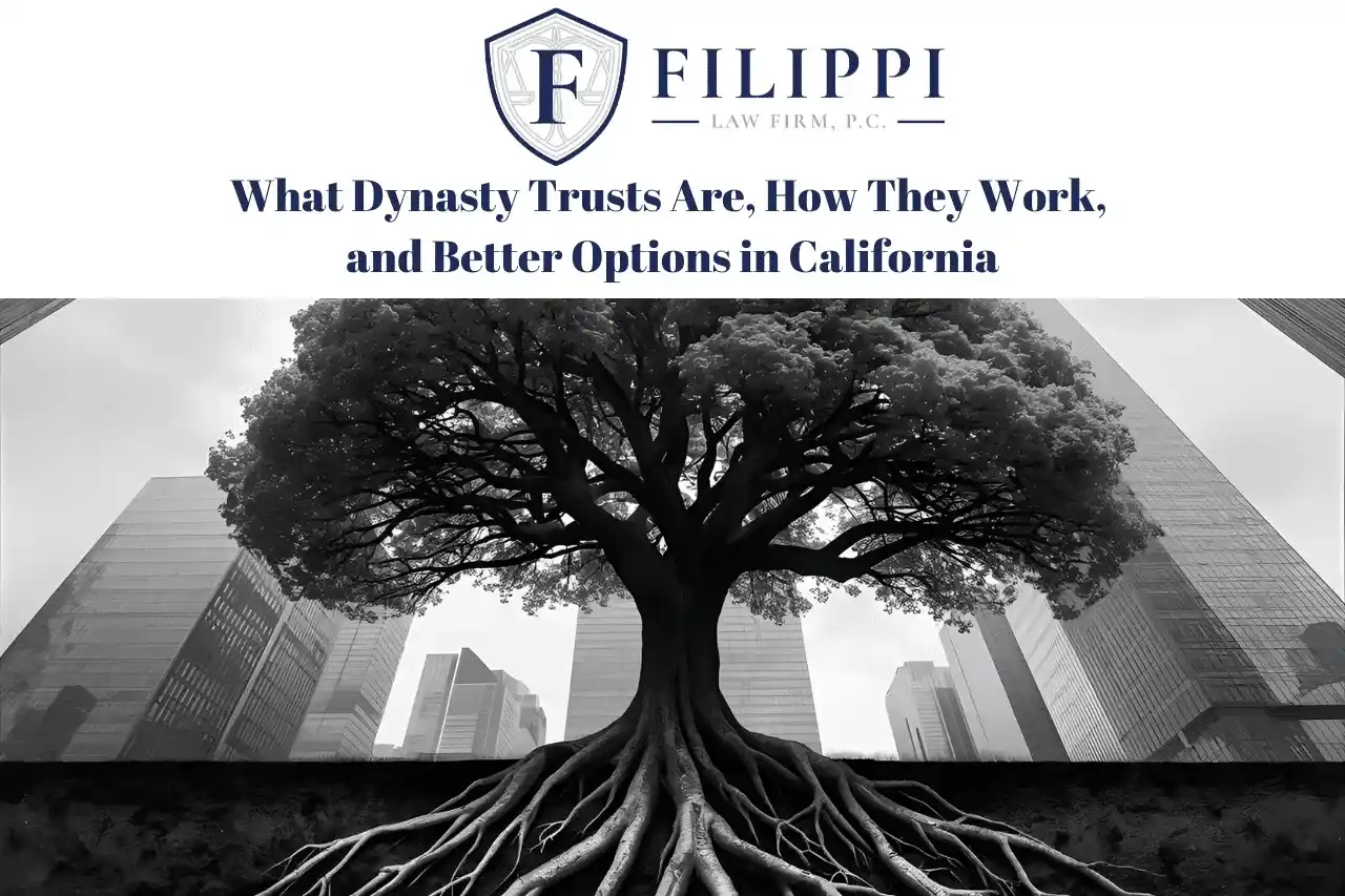 Filippi Law Firm logo with text about dynasty trusts and a large tree with exposed roots in an urban setting.